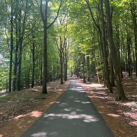 Apartmán Scheppes Auszeit Wenden  Exteriér fotografie